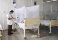 Μεξικό: Τα κρούσματα δάγκειου πυρετού στην αμερικανική ήπειρο αυξήθηκαν κατά σχεδόν 50% σε μια «επείγουσα» κατάσταση