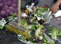 Έρευνα ΟΗΕ: Τεράστιες ποσότητες τροφίμων καταλήγουν στα σκουπίδια ενώ εκατομμύρια άνθρωποι στον πλανήτη πεινάνε