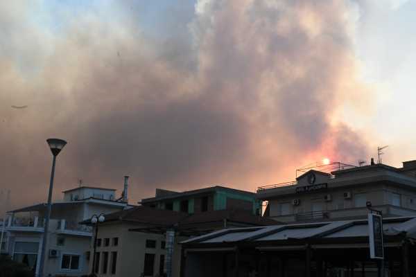 Πυρκαγιές: Για ποιες περιοχές ισχυει η παράταση των προθεσμιών των φορολογικών υποχρεώσεων