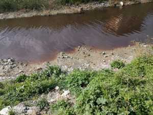 Ηράκλειο: Νέα μόλυνση στο Γιόφυρο Ποταμό - Απαράδεκτες εικόνες από τα «μαύρα» ύδατα