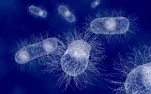 Ερευνητές κατάφεραν να παράγουν ηλεκτρική ενέργεια από επικίνδυνα για τον άνθρωπο βακτήρια