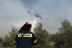Κέρκυρα: Πυρκαγιά στην περιοχή Αγ. Στέφανος-Μήνυμα του 112