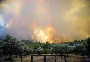 Φωτιά στη Ρόδο – Υφυπ. Ναυτιλίας στην ΕΡΤ: «Η πυρκαγιά πέρασε και καίγεται το νησάκι πάνω στη λίμνη»