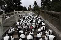 «Kung Fu Panda 4»: Η ταινία κινουμένων σχεδίων στην πρώτη θέση του κινεζικού box office