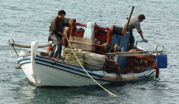 Λ. Αυγενάκης: Θα πάμε μπροστά τον κλάδο της αλιείας – Στόχος η δημιουργία δύο Διεπαγγελματικών Οργανώσεων