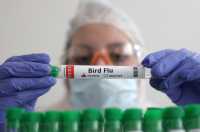 ΗΠΑ: 502 εκατ. δολάρια για την μελλοντική αντιμετώπιση της γρίπης των πτηνών