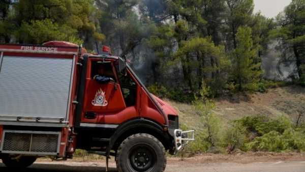 Φωτιά στην Πάρο: Κινητοποιήθηκαν επίγειες και εναέριες δυνάμεις – Ήχησε το «112»