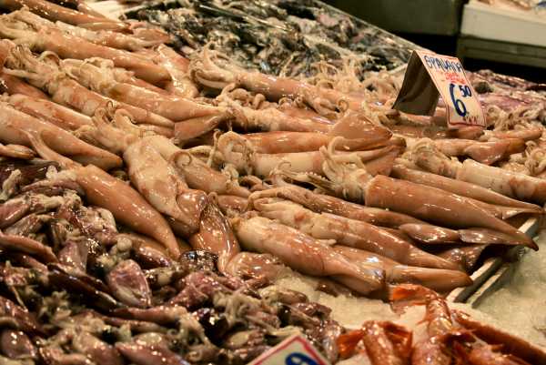 Βαρβάκειος: Μειωμένες κατά 1-2 ευρώ οι τιμές στα θαλασσινά, σύμφωνα με τον πρόεδρο της Ιχθυαγοράς