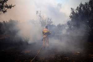 Χαλκιδική: Καλύτερη η εικόνα της πυρκαγιάς- Έχει μείνει μία εστία