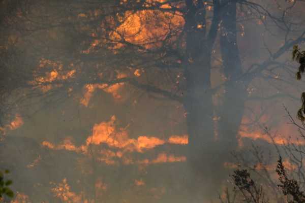 Πυρκαγιές: Παράταση προθεσμιών φορολογικών υποχρεώσεων για τους πληγέντες
