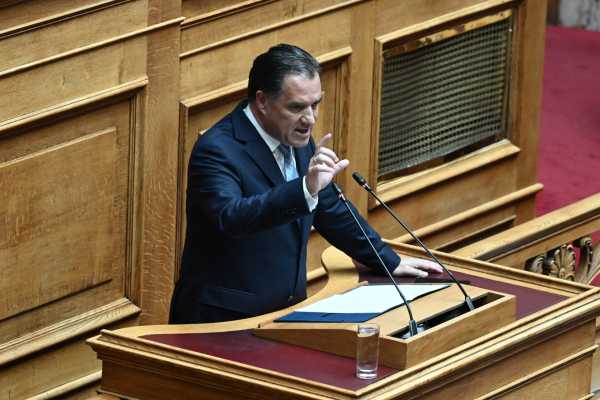 Αδ. Γεωργιάδης: «Στη διάθεση του Αντ. Σαμαρά» για την τροπολογία στο μεταναστευτικό