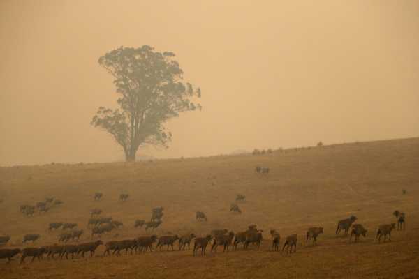 Αυστραλία: Συναγερμός διαρκείας για πυρκαγιές μέχρι το 2024 – Καίγονται 7.200 τετραγωνικά χιλιόμετρα