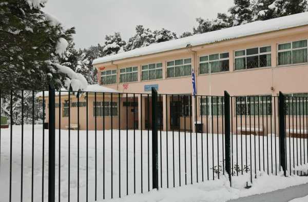 Κακοκαιρία Avgi: Κλειστά τα σχολεία στον Δήμο Φυλής αύριο Τρίτη