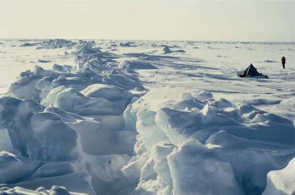 Έρευνα: Η Αρκτική μπορεί να μην έχει θαλάσσιους πάγους ήδη από το 2030