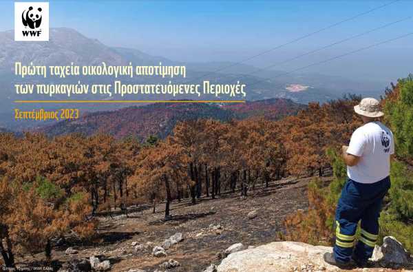 Καμένες εκτάσεις: Η πρώτη οικολογική αποτίμηση των πυρκαγιών από το WWF