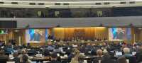 Greece re-elected to the International Maritime Organization (IMO) for 2024-2025
