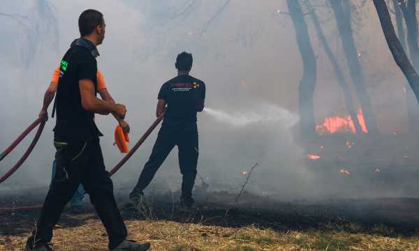 Πυρκαγιές: «Μια απροσεξία αρκεί για την καταστροφή του τόπου μας» - Τον κώδωνα του κινδύνου κρούουν οι αγρότες της Ιεράπετρας