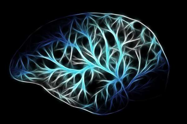 Επιστήμονες εντόπισαν μυστηριώδη σπειροειδή σήματα στον ανθρώπινο εγκέφαλο